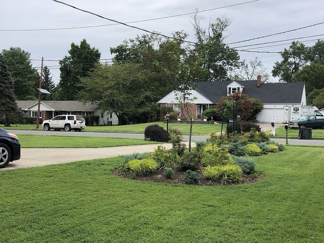 A freshly mowed residential front lawn, cut clean to the edge of the driveway